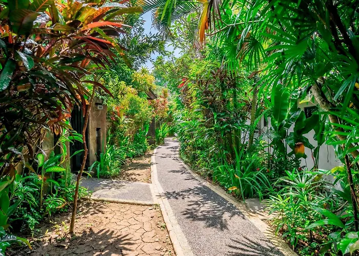 Pensión Bali Dream Garden - Tropical Escape With Pool &